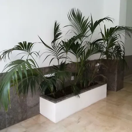 Tribunale Basement 3* Palermo